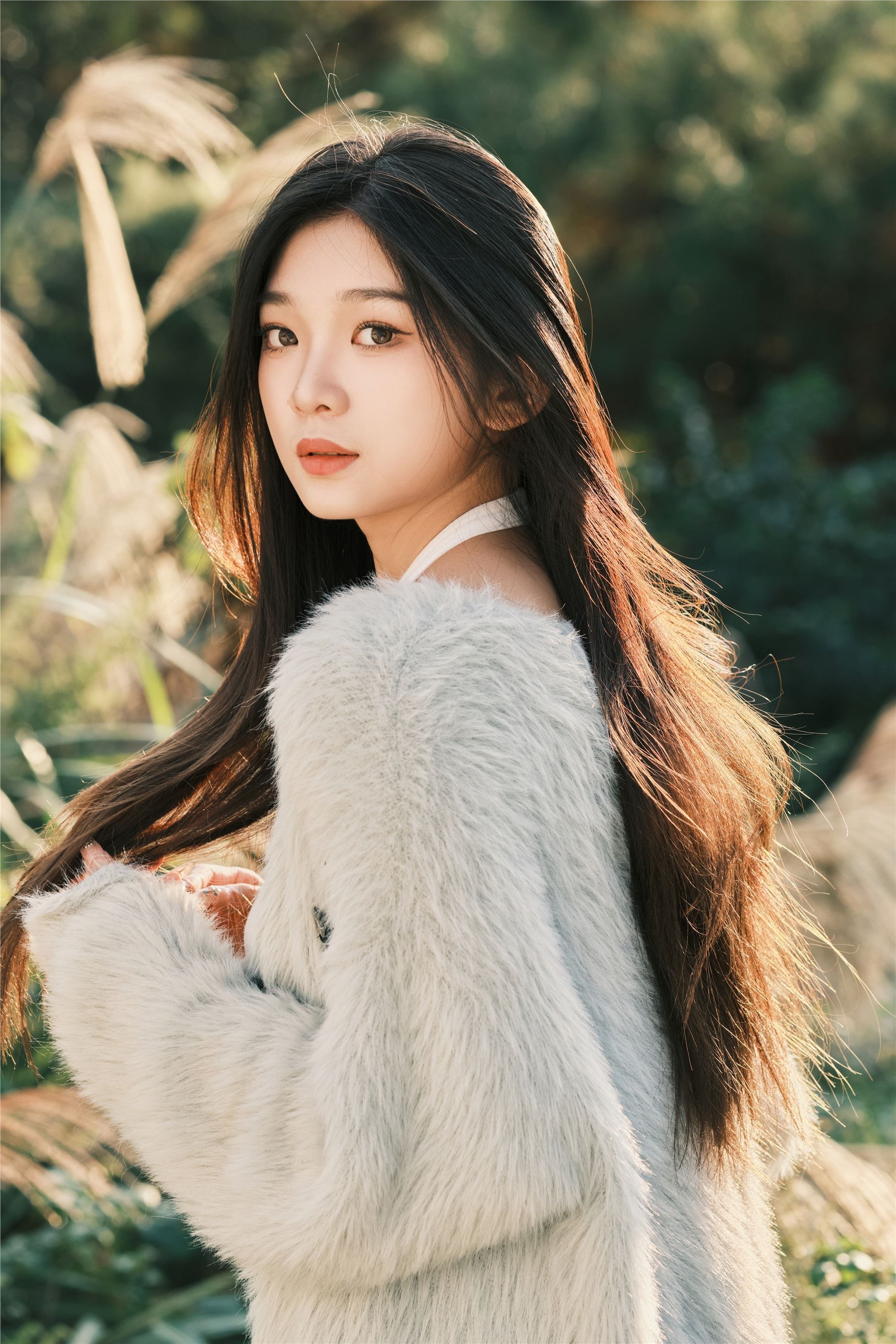 YITUYU艺图语 2025.01.03 湖边 一只狸猫